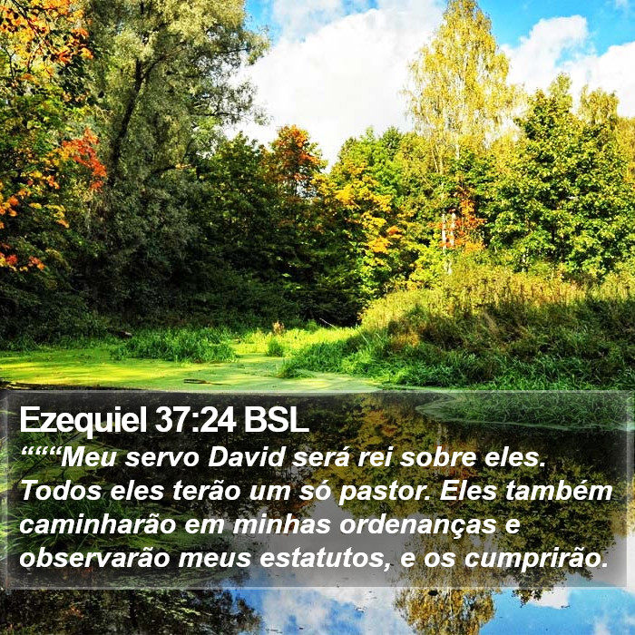 Ezequiel 37:24 BSL Bible Study