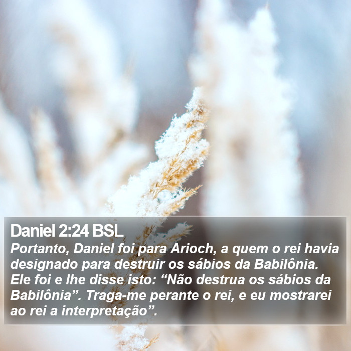 Daniel 2:24 BSL Bible Study