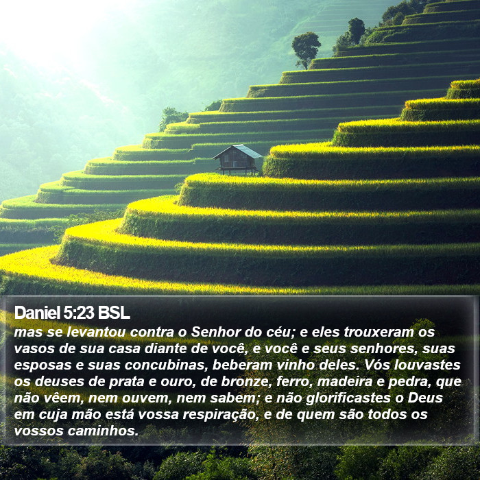 Daniel 5:23 BSL Bible Study