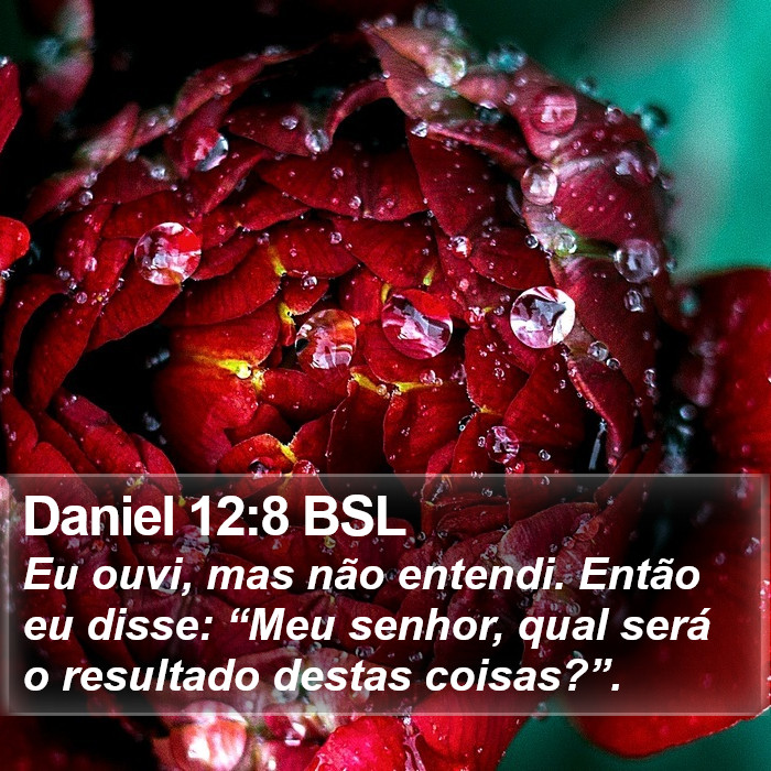 Daniel 12:8 BSL Bible Study