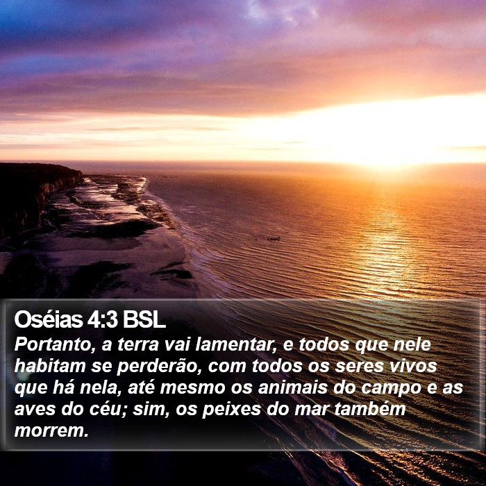 Oséias 4:3 BSL Bible Study