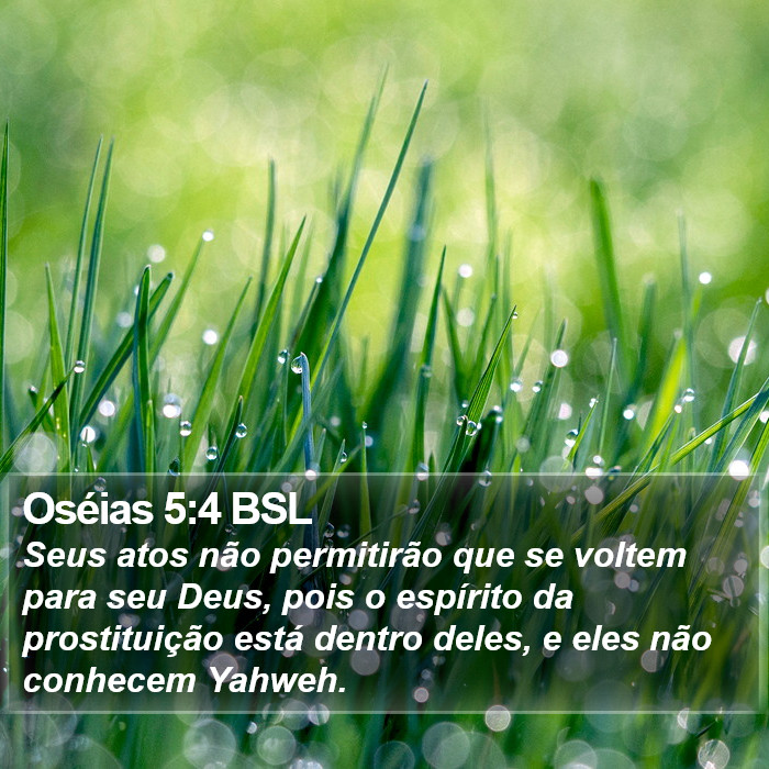 Oséias 5:4 BSL Bible Study