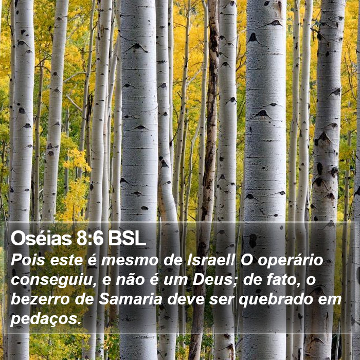 Oséias 8:6 BSL Bible Study