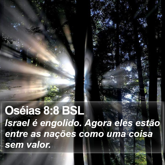 Oséias 8:8 BSL Bible Study