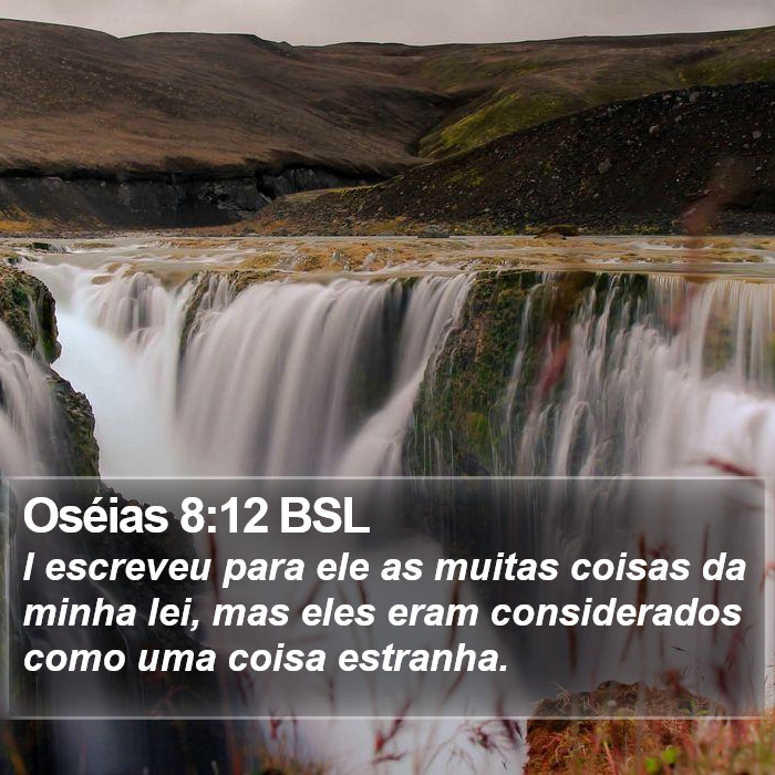 Oséias 8:12 BSL Bible Study