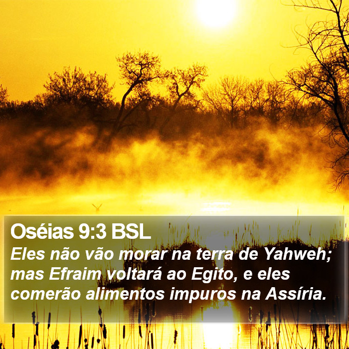 Oséias 9:3 BSL Bible Study