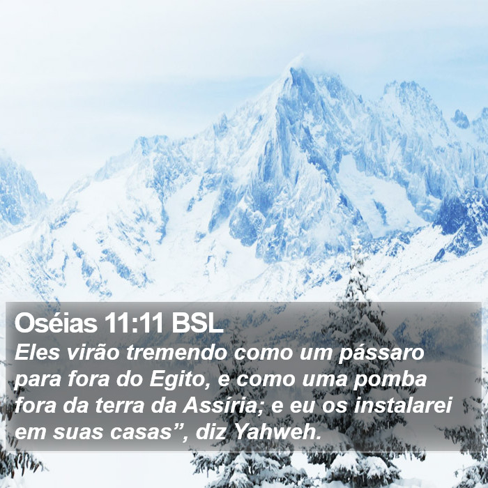 Oséias 11:11 BSL Bible Study