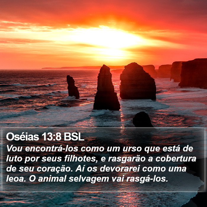 Oséias 13:8 BSL Bible Study