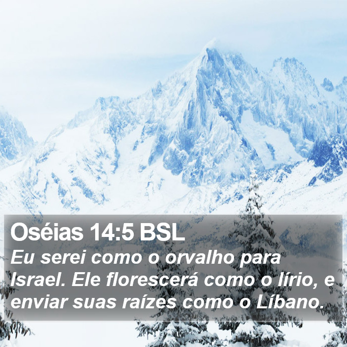 Oséias 14:5 BSL Bible Study