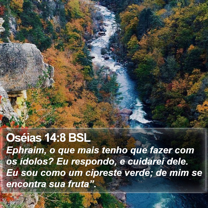 Oséias 14:8 BSL Bible Study