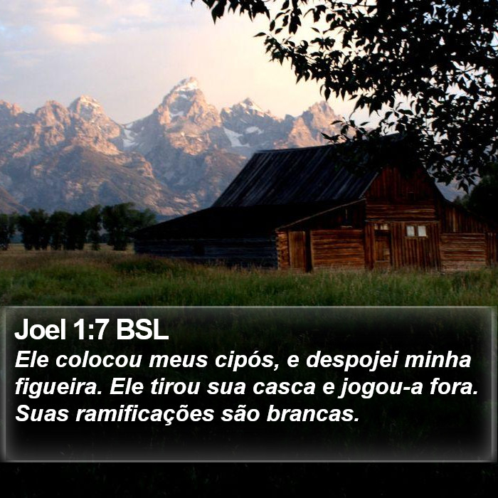 Joel 1:7 BSL Bible Study