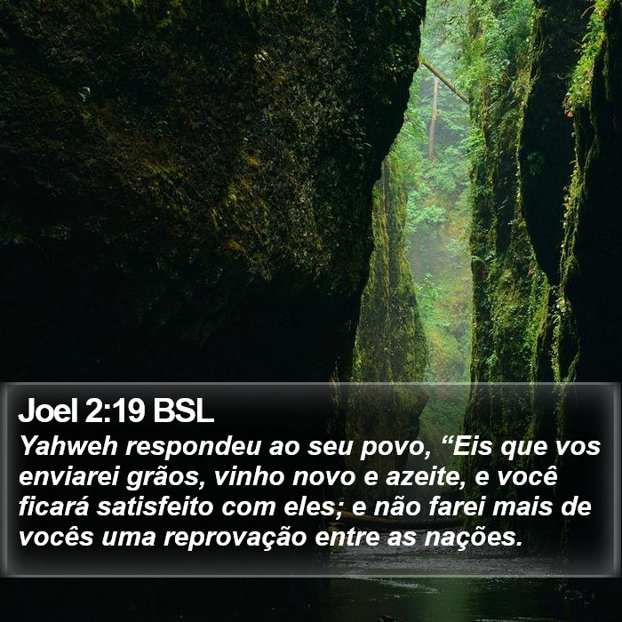 Joel 2:19 BSL Bible Study