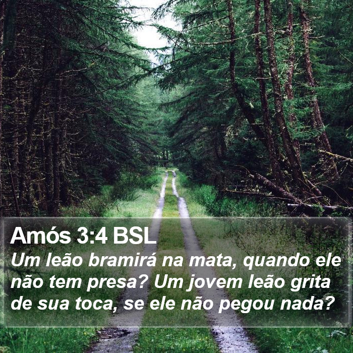 Amós 3:4 BSL Bible Study