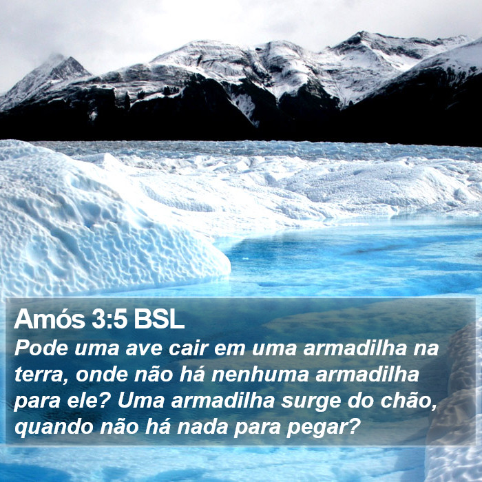 Amós 3:5 BSL Bible Study