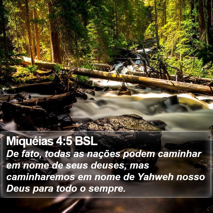 Miquéias 4:5 BSL Bible Study