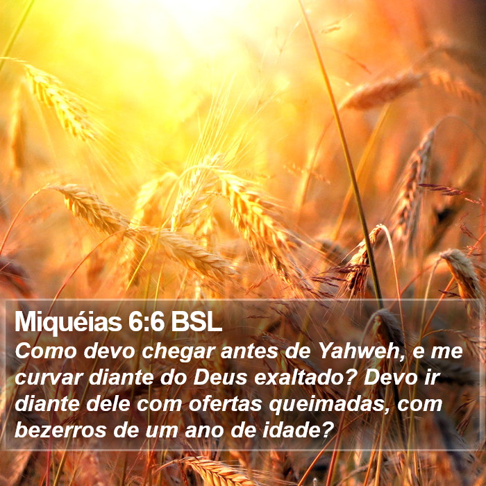 Miquéias 6:6 BSL Bible Study