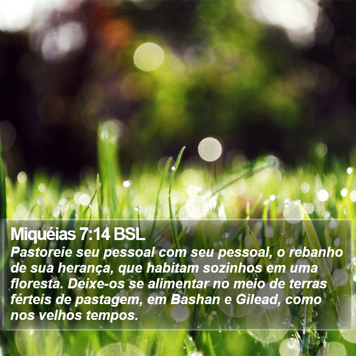 Miquéias 7:14 BSL Bible Study