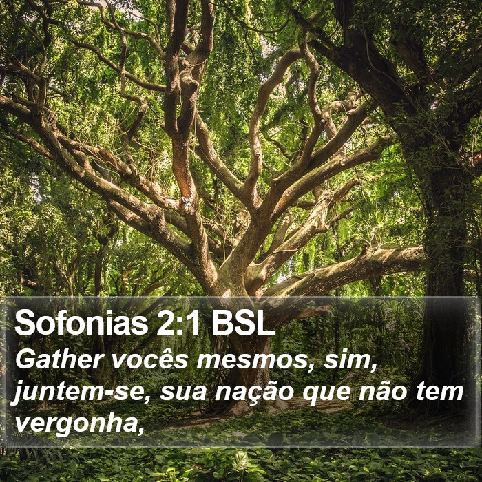 Sofonias 2:1 BSL Bible Study