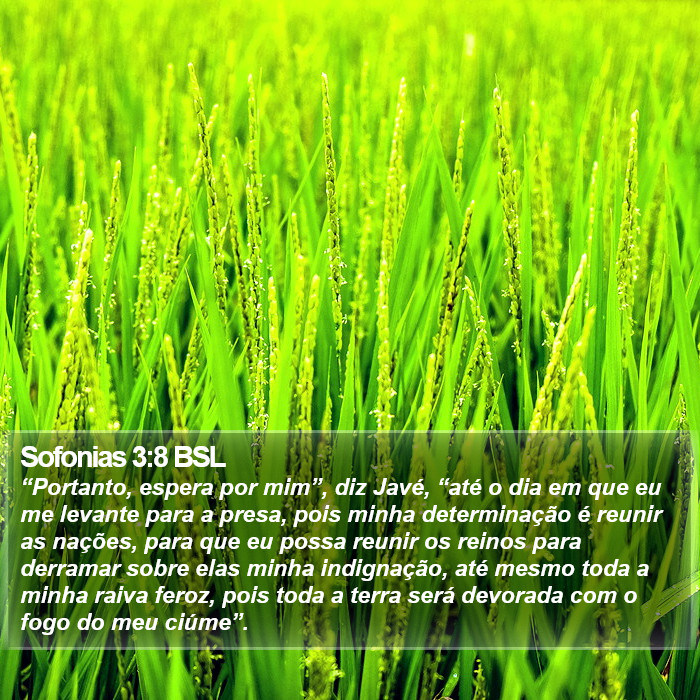 Sofonias 3:8 BSL Bible Study