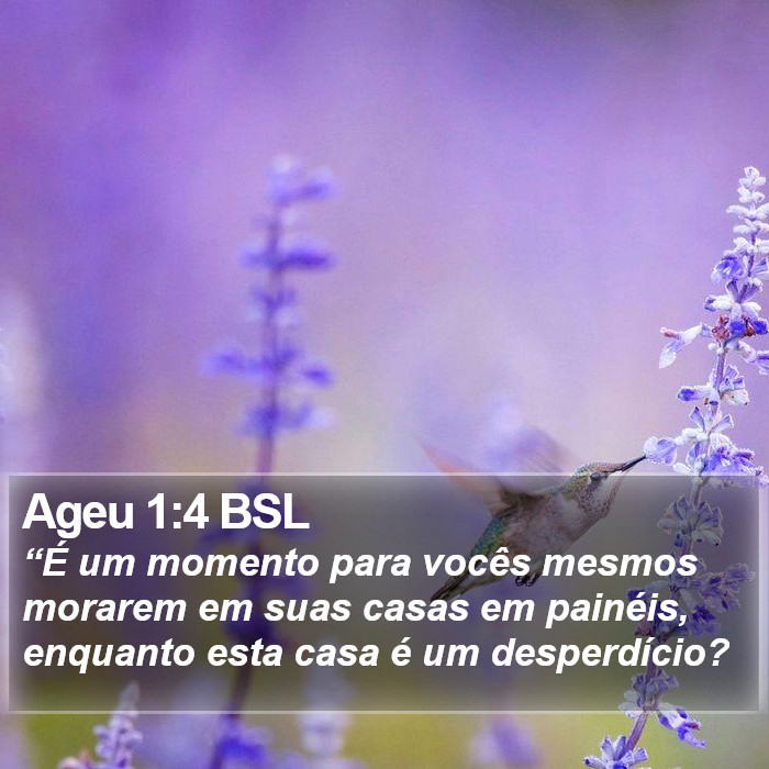 Ageu 1:4 BSL Bible Study