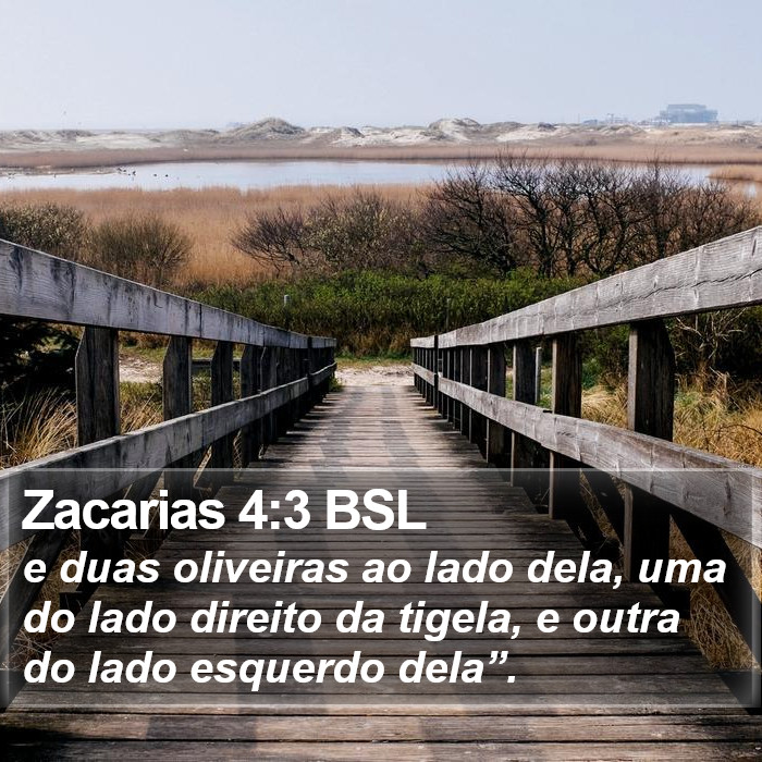 Zacarias 4:3 BSL Bible Study