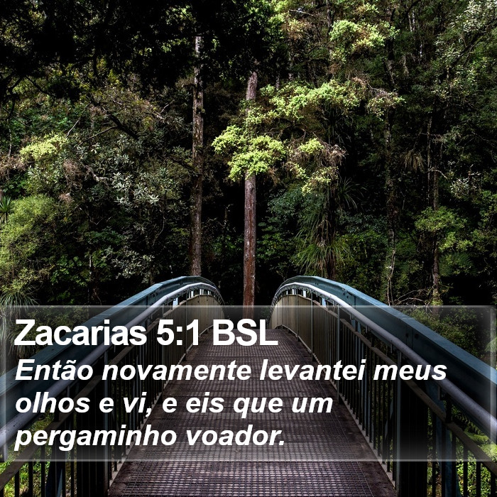 Zacarias 5:1 BSL Bible Study