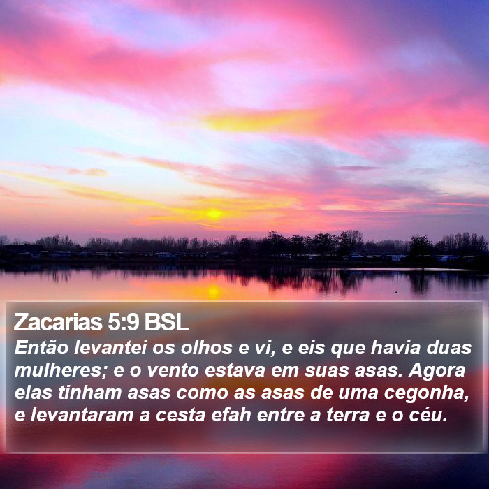 Zacarias 5:9 BSL Bible Study