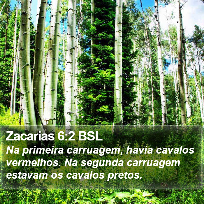 Zacarias 6:2 BSL Bible Study