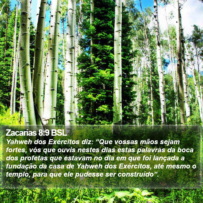 Zacarias 8:9 BSL Bible Study