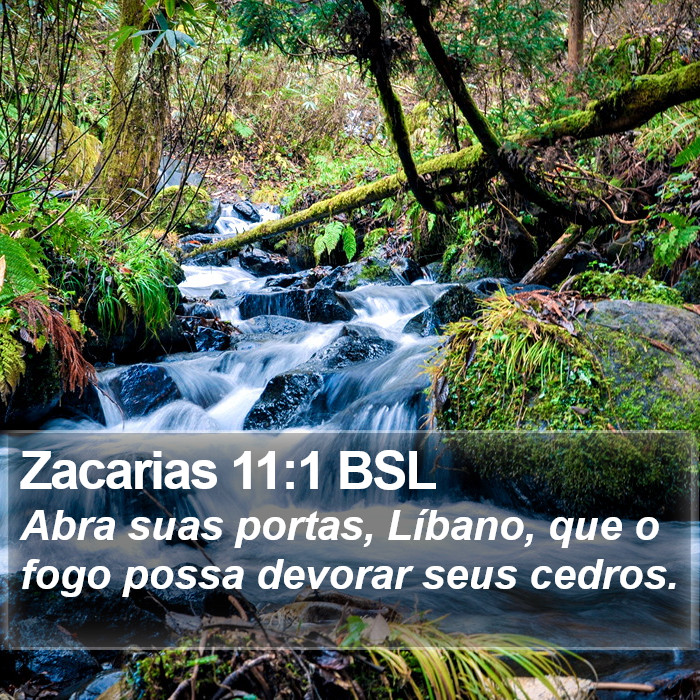 Zacarias 11:1 BSL Bible Study