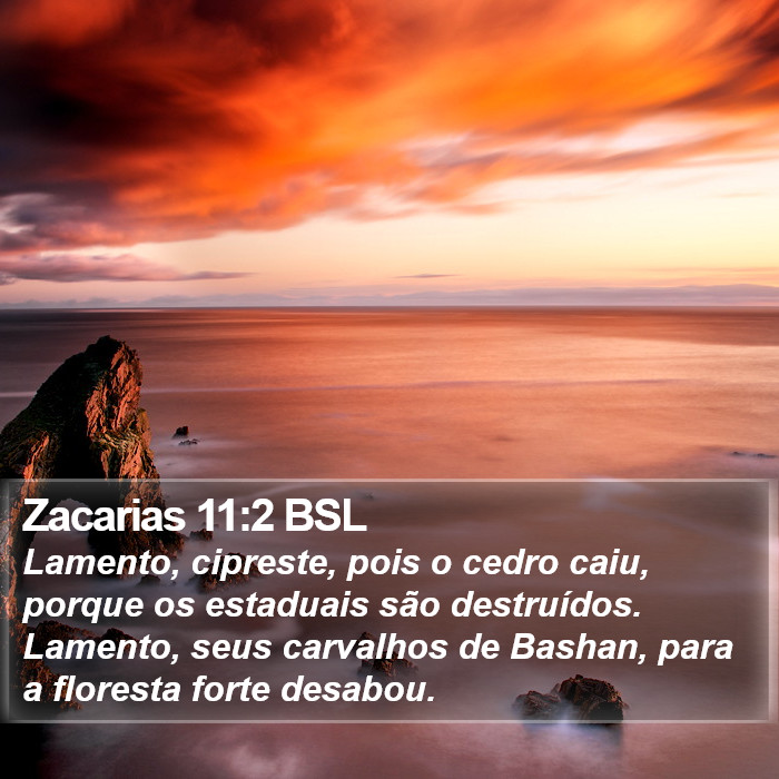 Zacarias 11:2 BSL Bible Study