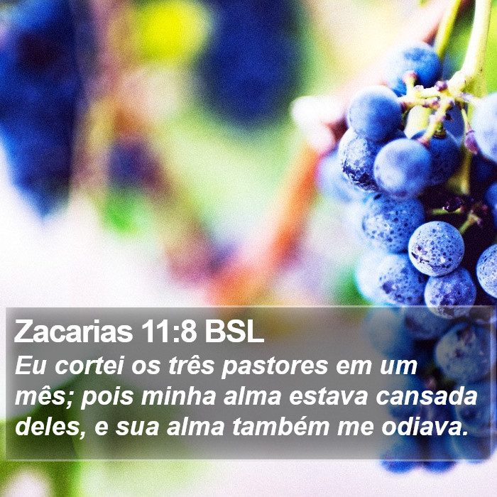 Zacarias 11:8 BSL Bible Study