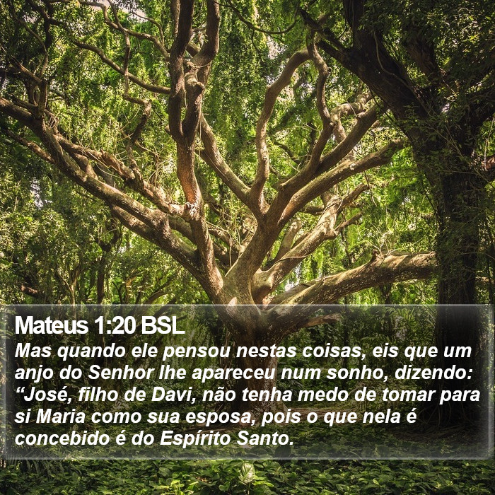 Mateus 1:20 BSL Bible Study