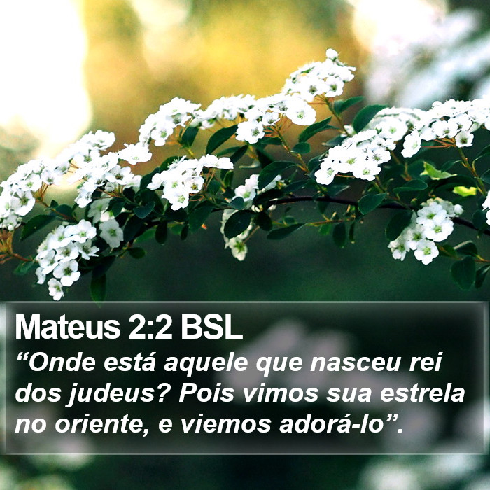 Mateus 2:2 BSL Bible Study