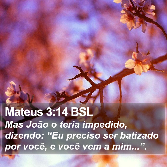 Mateus 3:14 BSL Bible Study