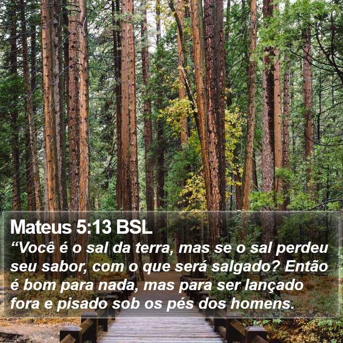 Mateus 5:13 BSL Bible Study