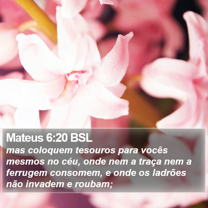 Mateus 6:20 BSL Bible Study