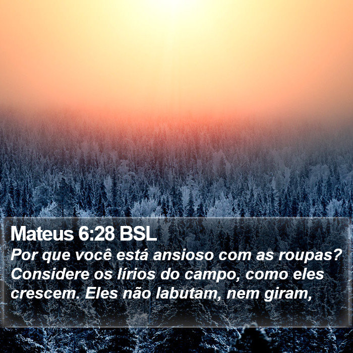 Mateus 6:28 BSL Bible Study