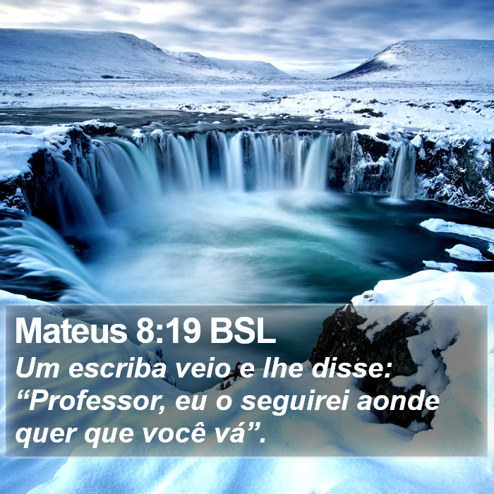 Mateus 8:19 BSL Bible Study