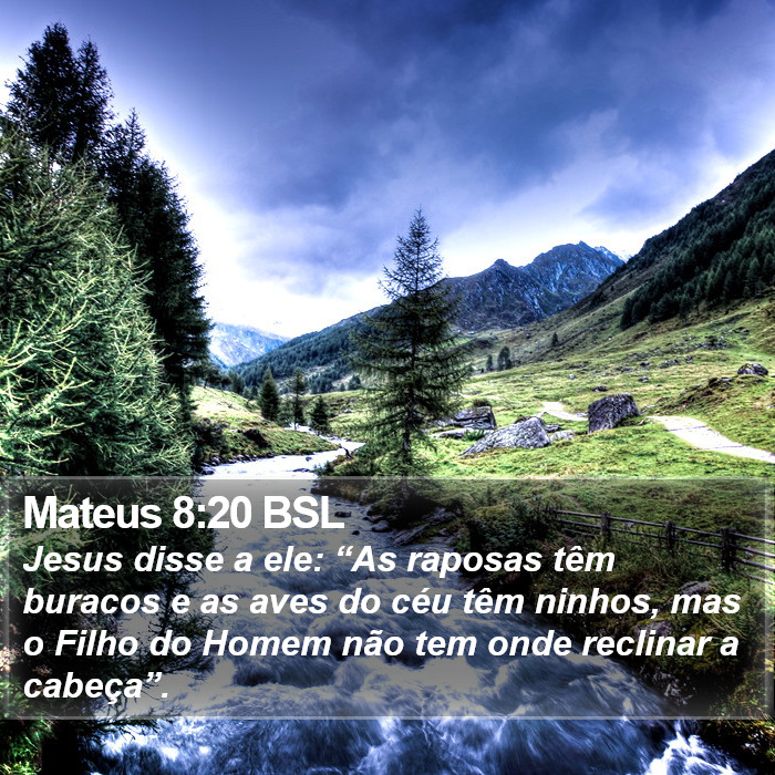 Mateus 8:20 BSL Bible Study