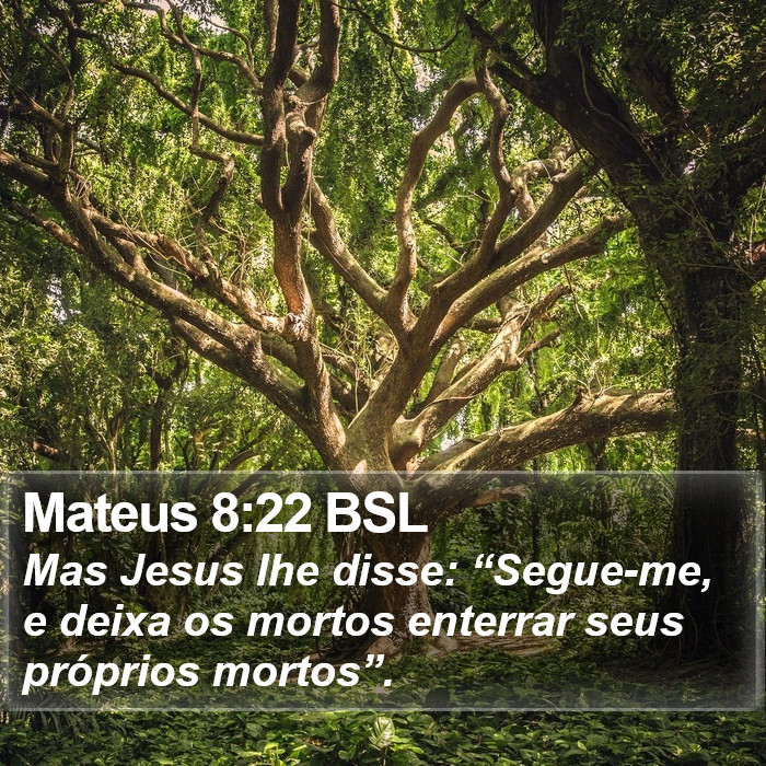 Mateus 8:22 BSL Bible Study
