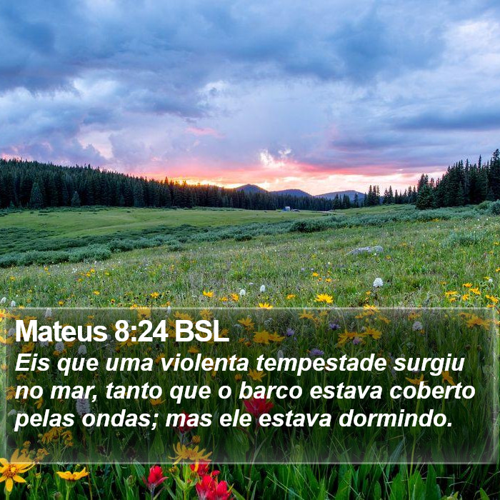 Mateus 8:24 BSL Bible Study