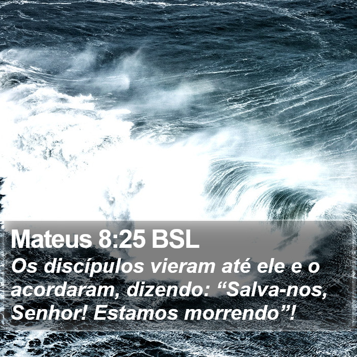 Mateus 8:25 BSL Bible Study