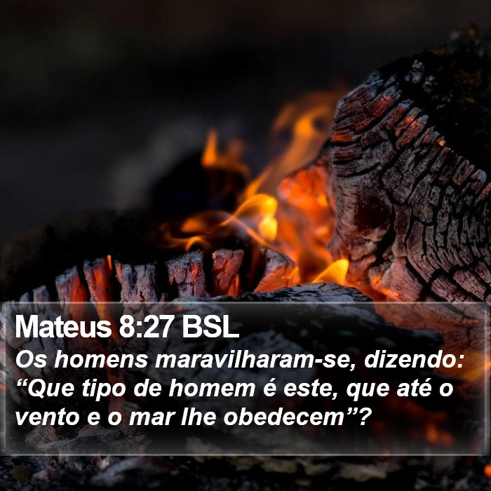 Mateus 8:27 BSL Bible Study