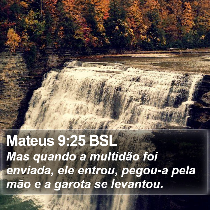 Mateus 9:25 BSL Bible Study