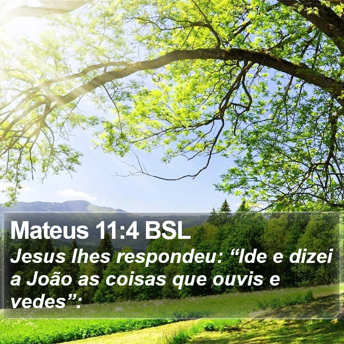 Mateus 11:4 BSL Bible Study