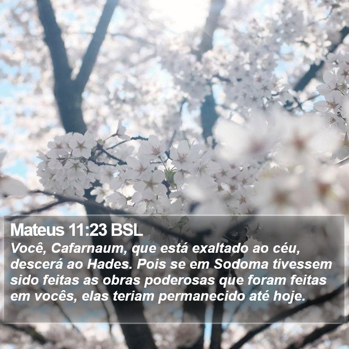 Mateus 11:23 BSL Bible Study