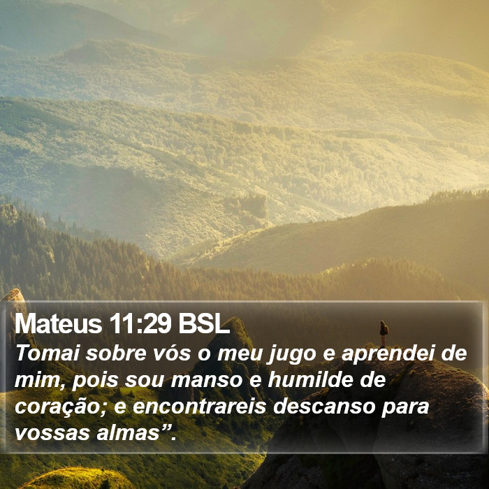 Mateus 11:29 BSL Bible Study