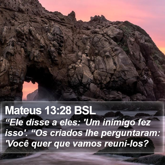 Mateus 13:28 BSL Bible Study