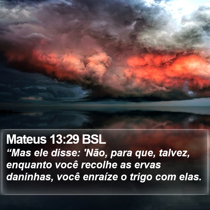 Mateus 13:29 BSL Bible Study